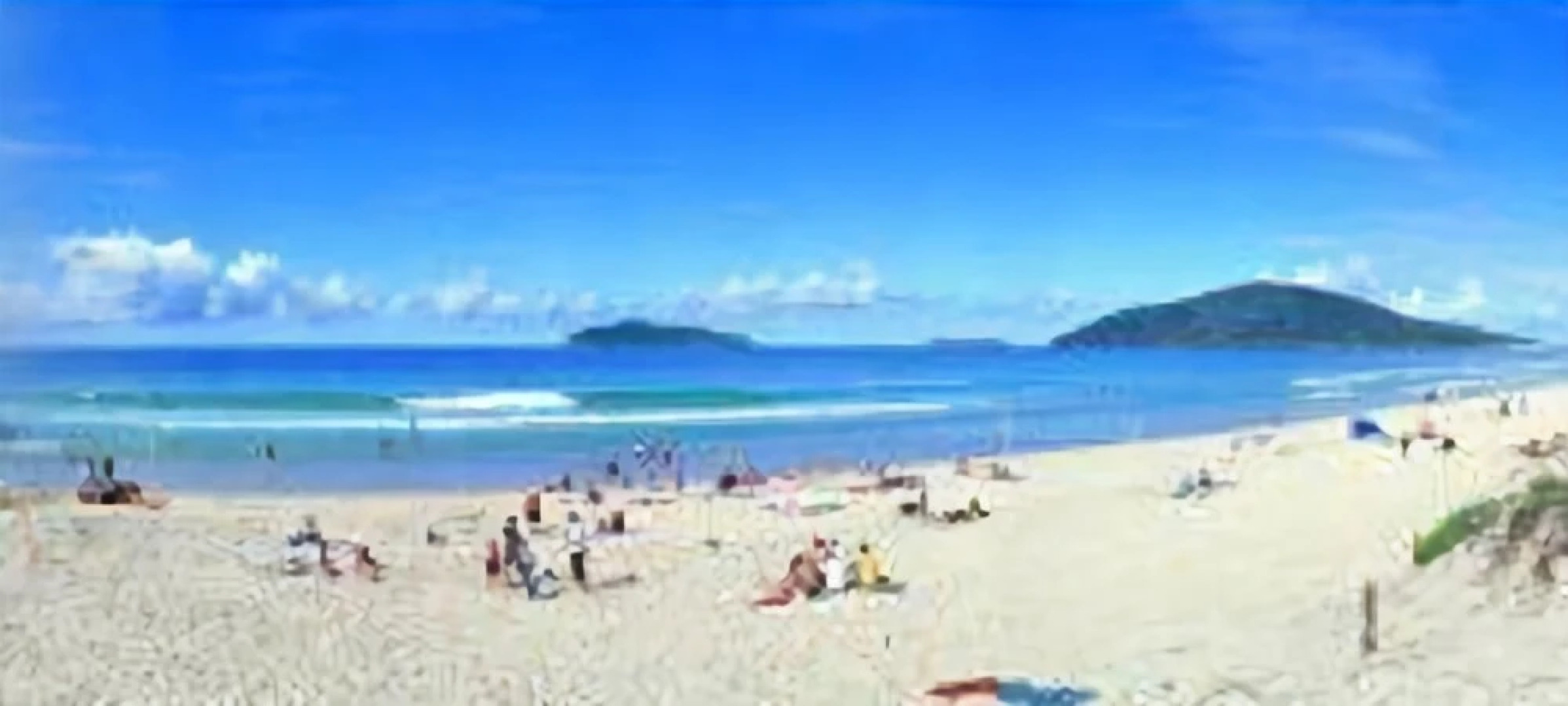 Ocean Side Hawks Nest