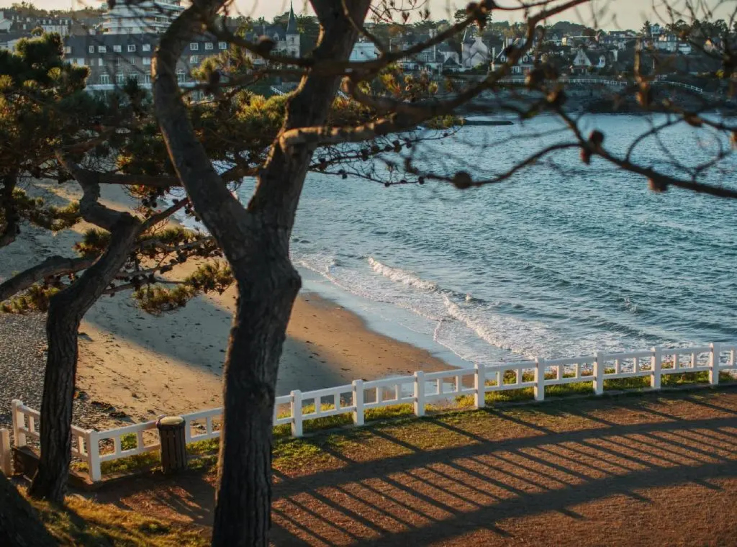 La cabane de Charlotte
