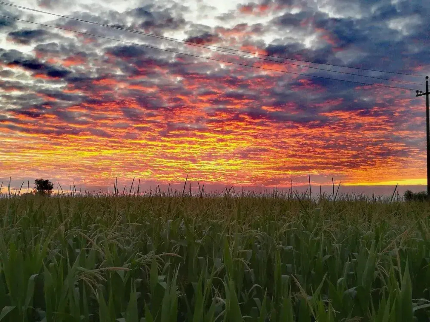 House Farm Bed and Breakfast La Corte