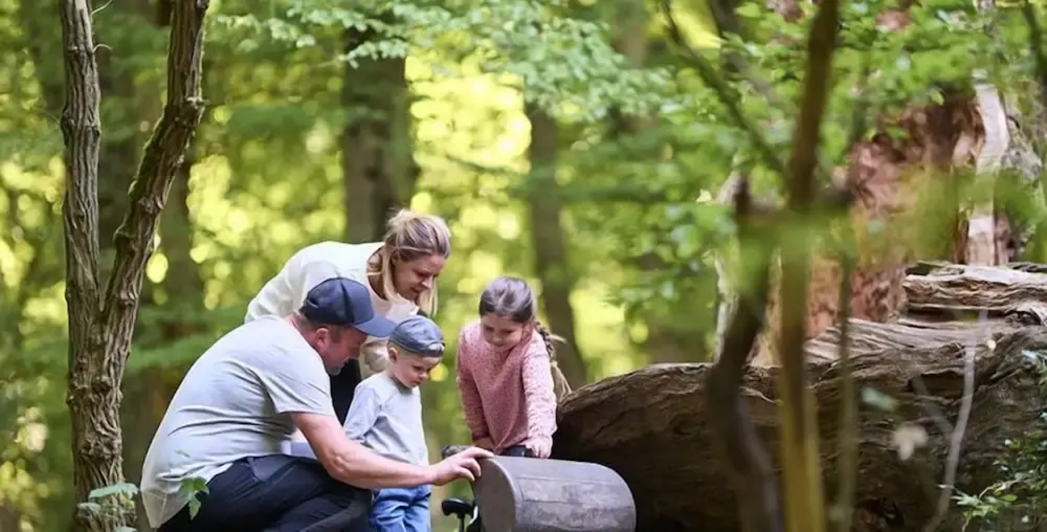 WaldResort - Am Nationalpark Hainich