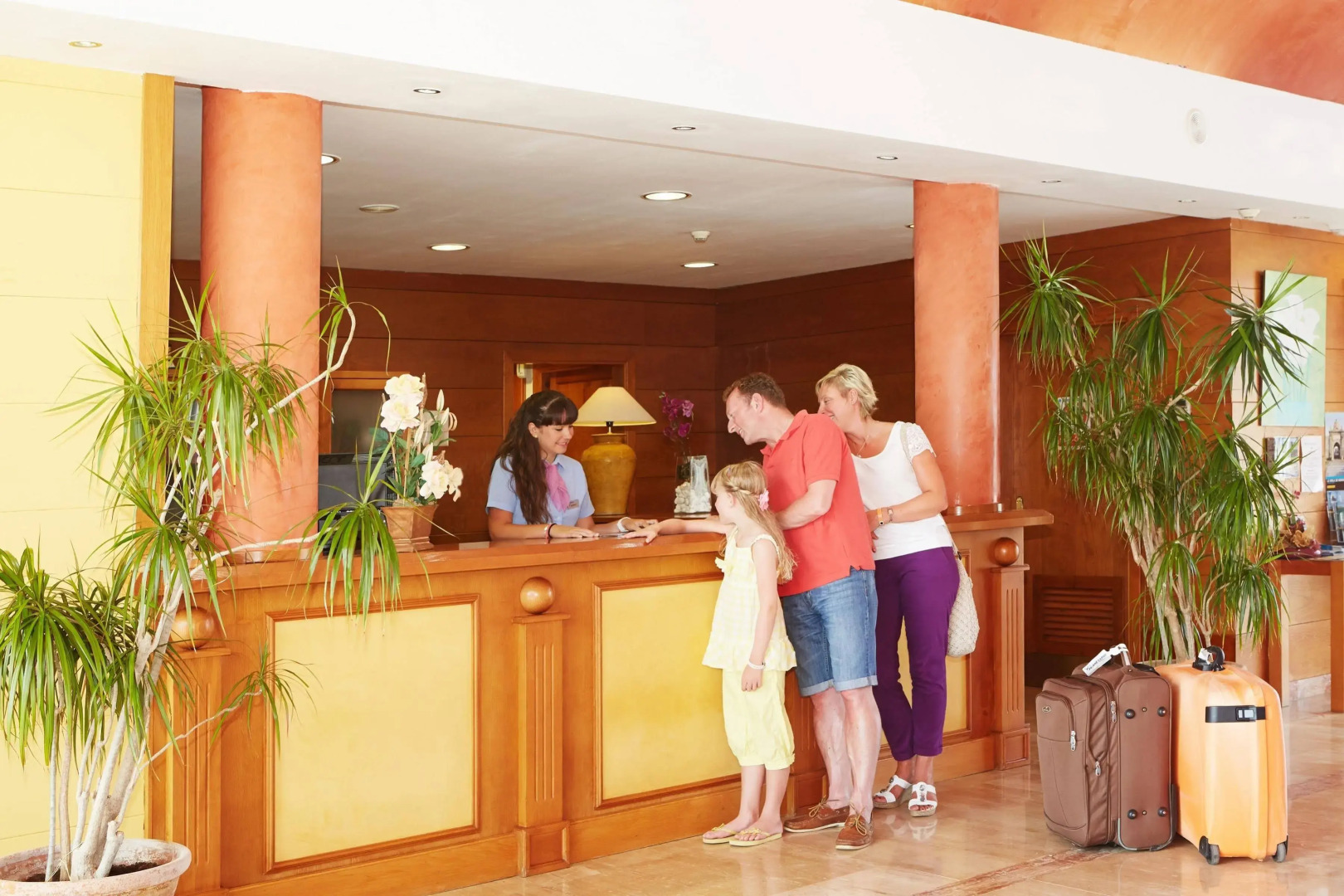 Comitas Isla del Aire