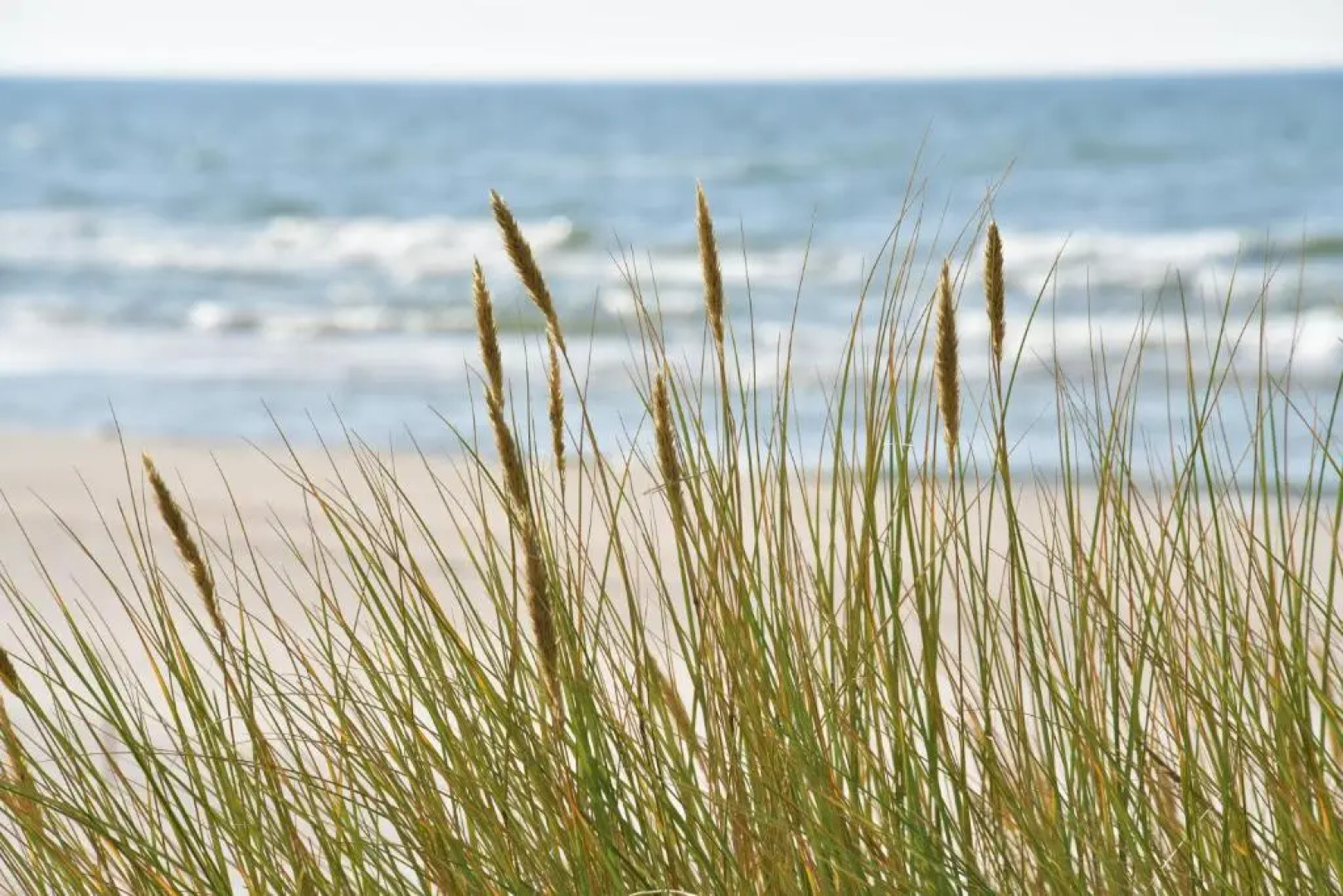 D&A Baltic Beach Villa