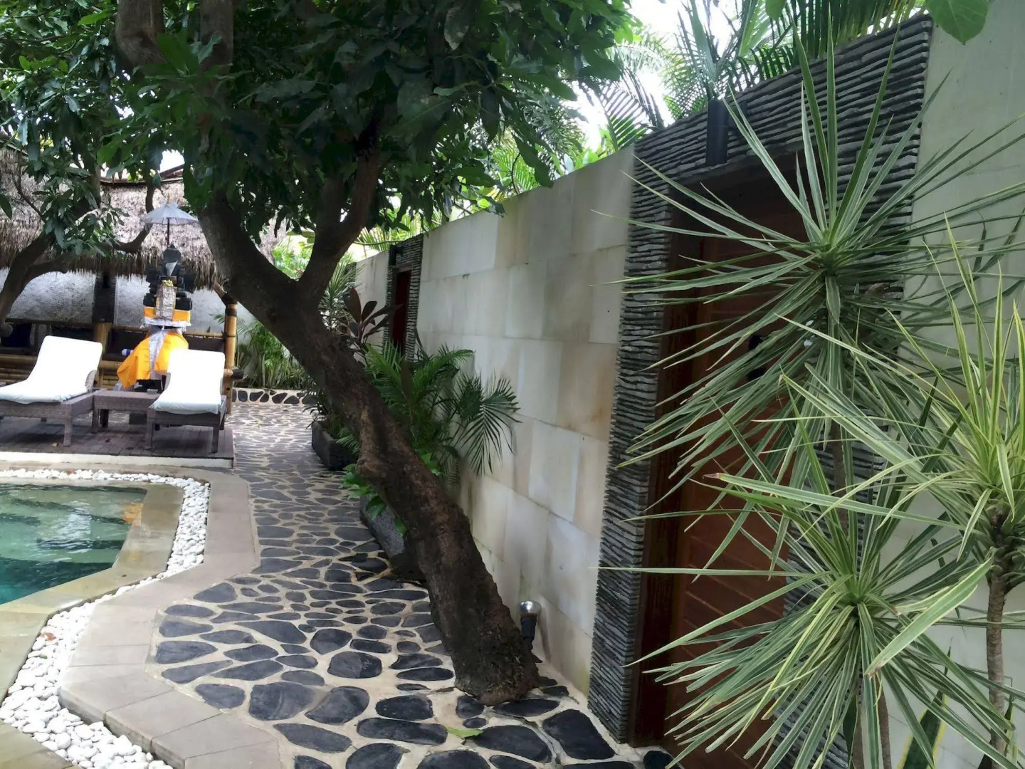 Scallywags Mango Motel