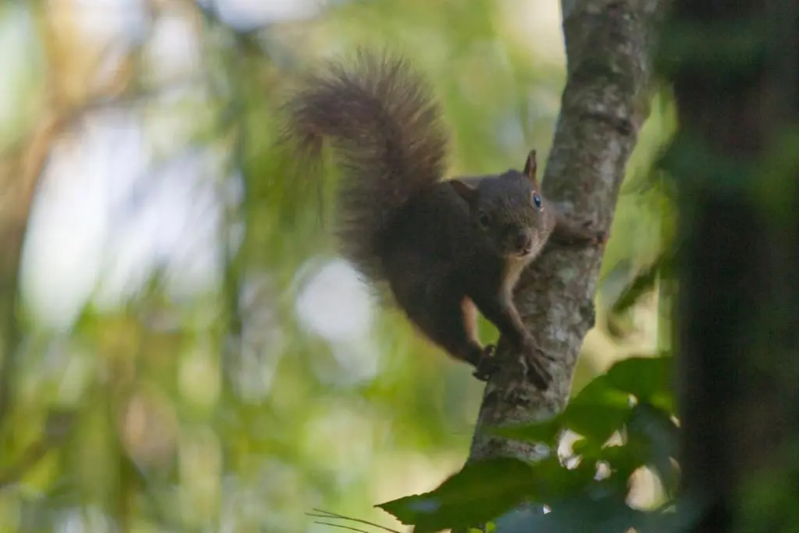 Chacra del Agua Reserva Privada
