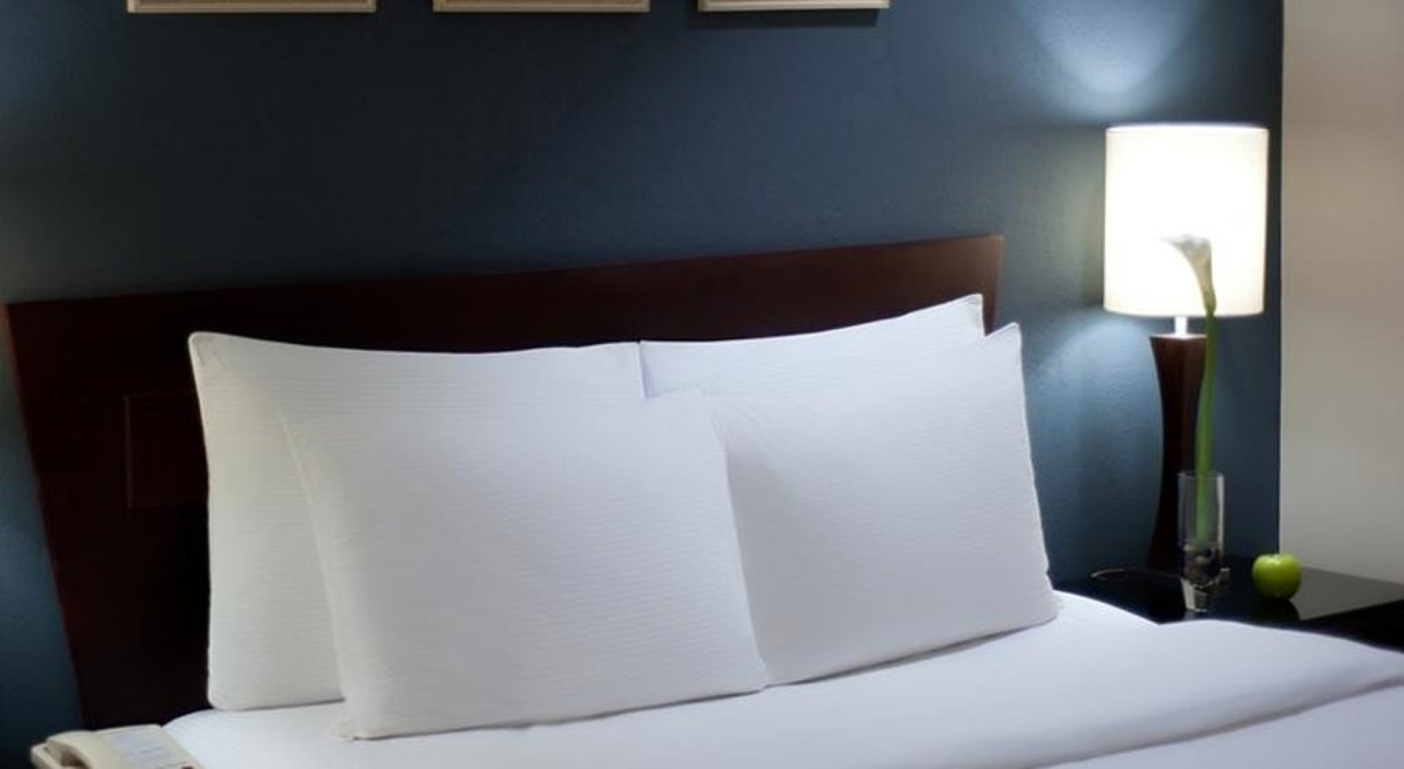 Centro Plaza Hodelpa