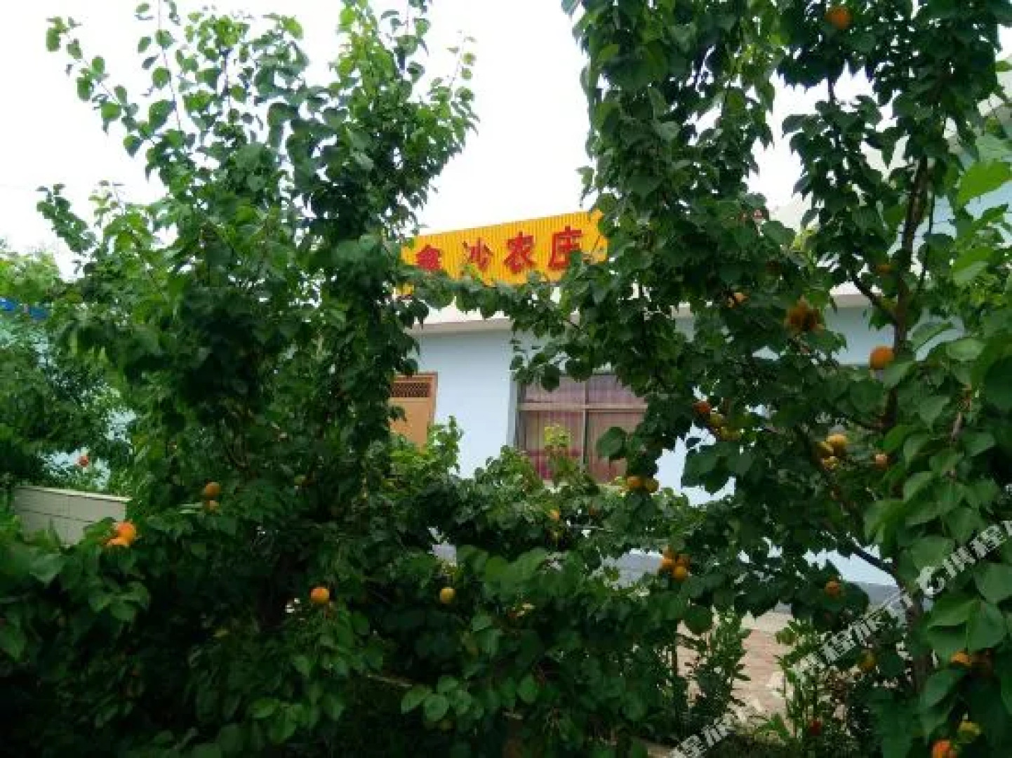 Shapotou Xinsha Framstay