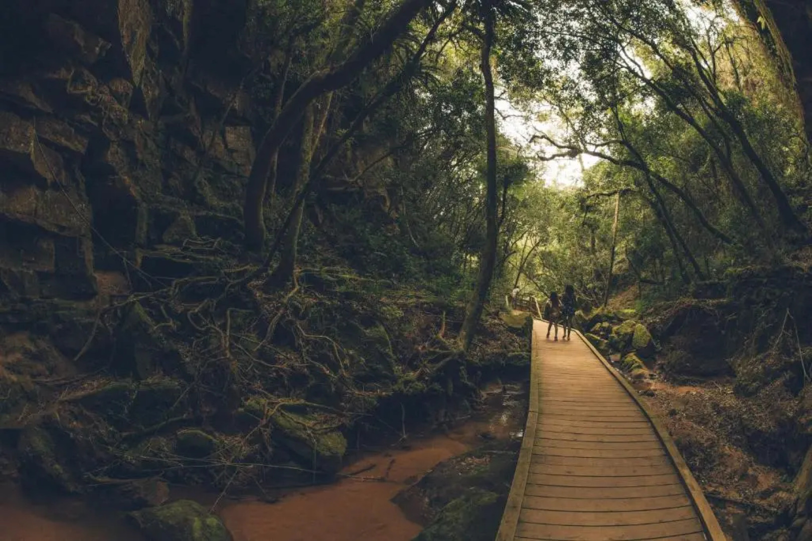 Planalto Select Hotel Ponta Grossa