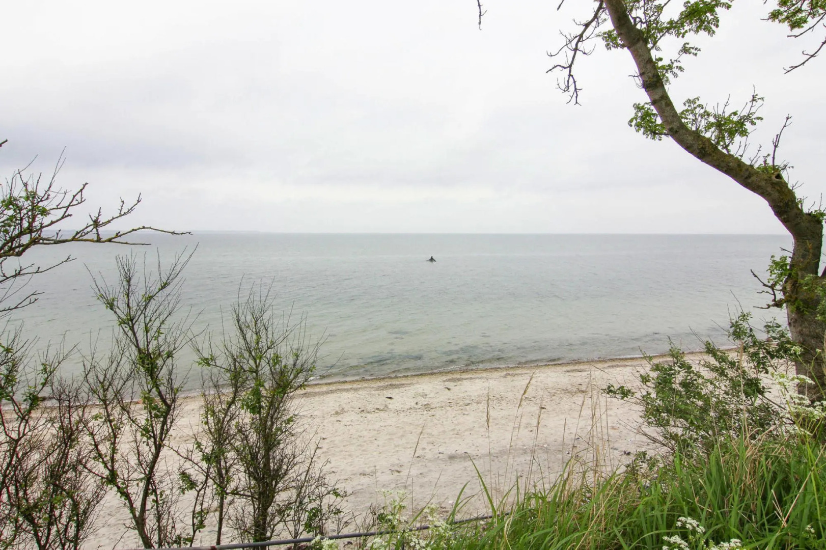 Holiday Home in Krusendorf Near Baltic Sea