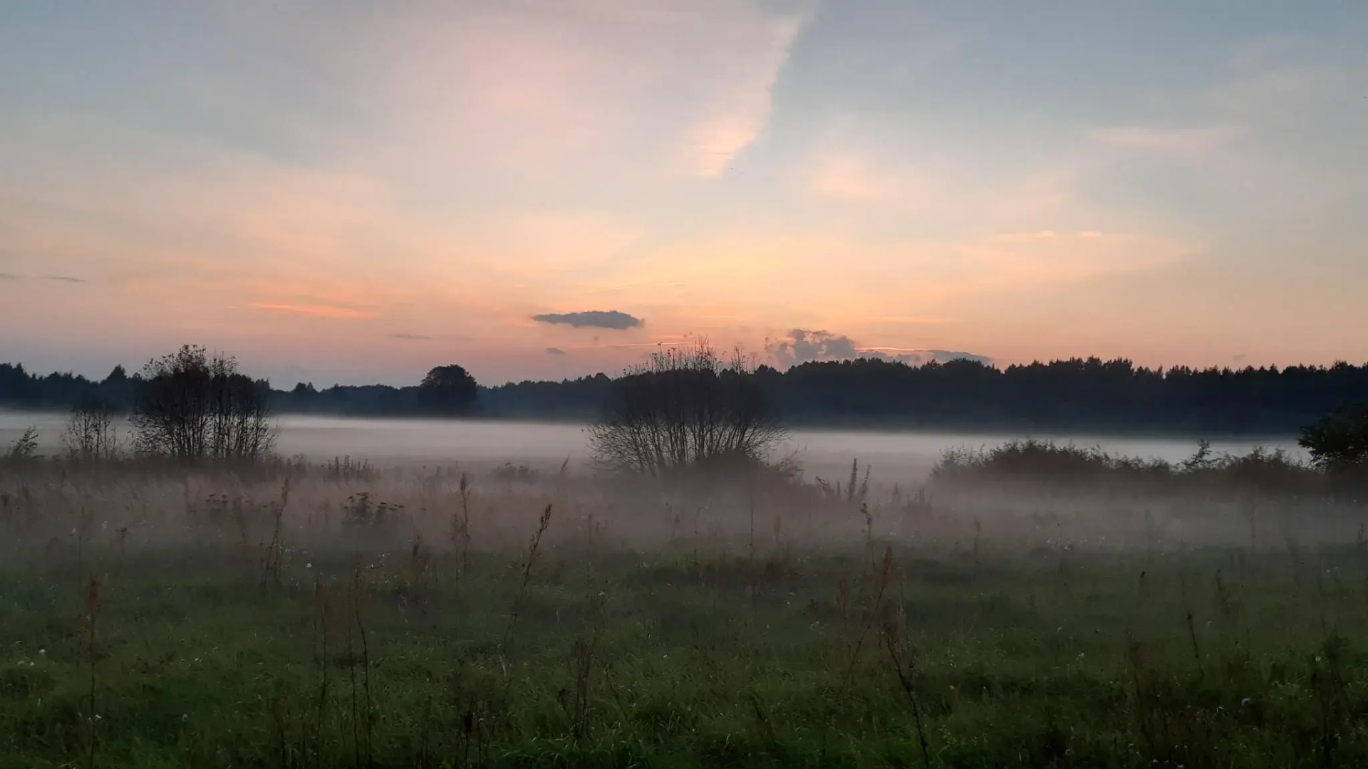 Дом в деревне Чернокуново