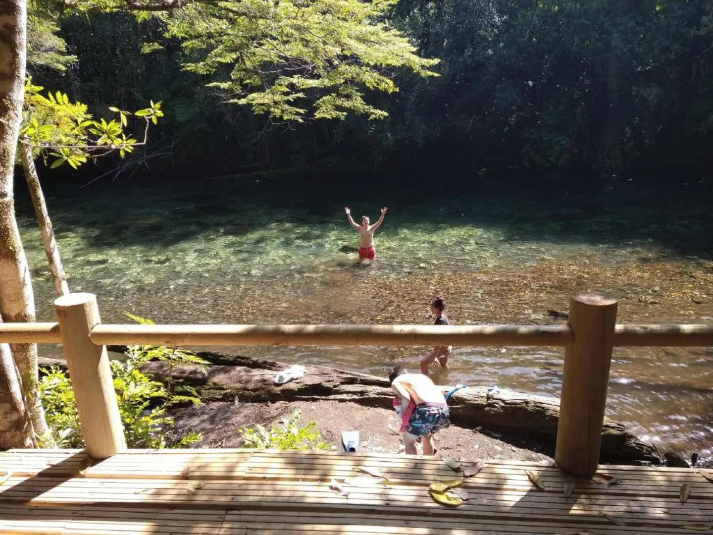 Entre Esteros Hornopiren