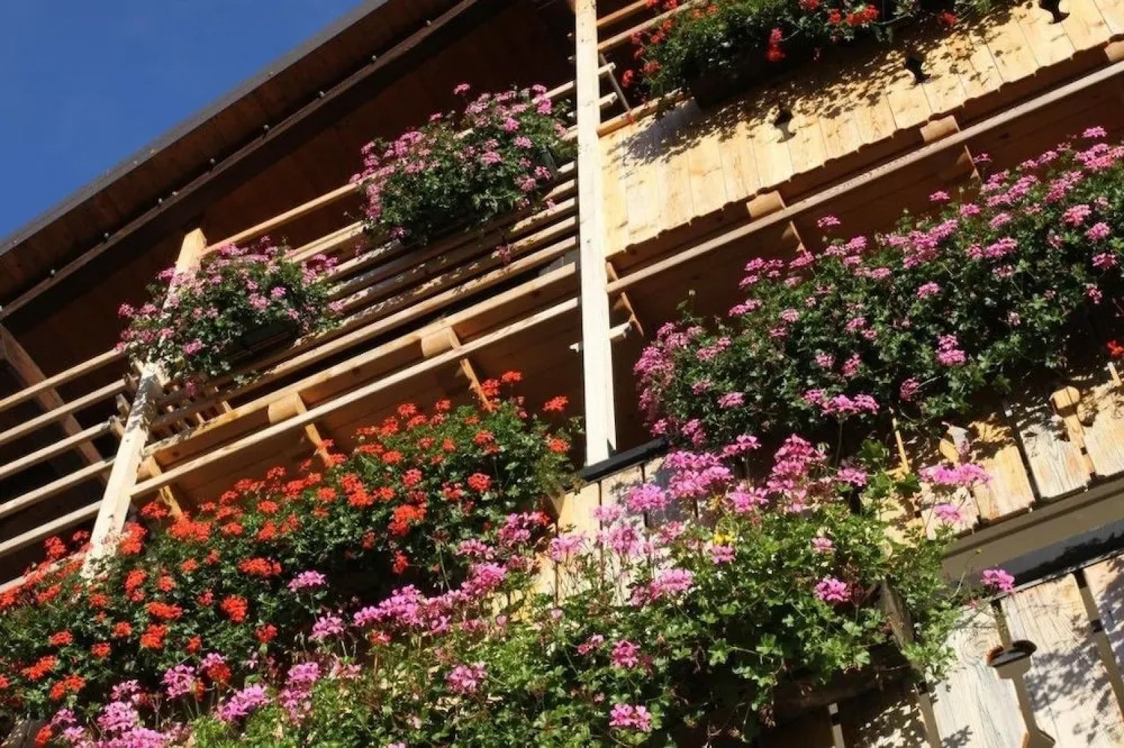 Albergo Centrale Forni