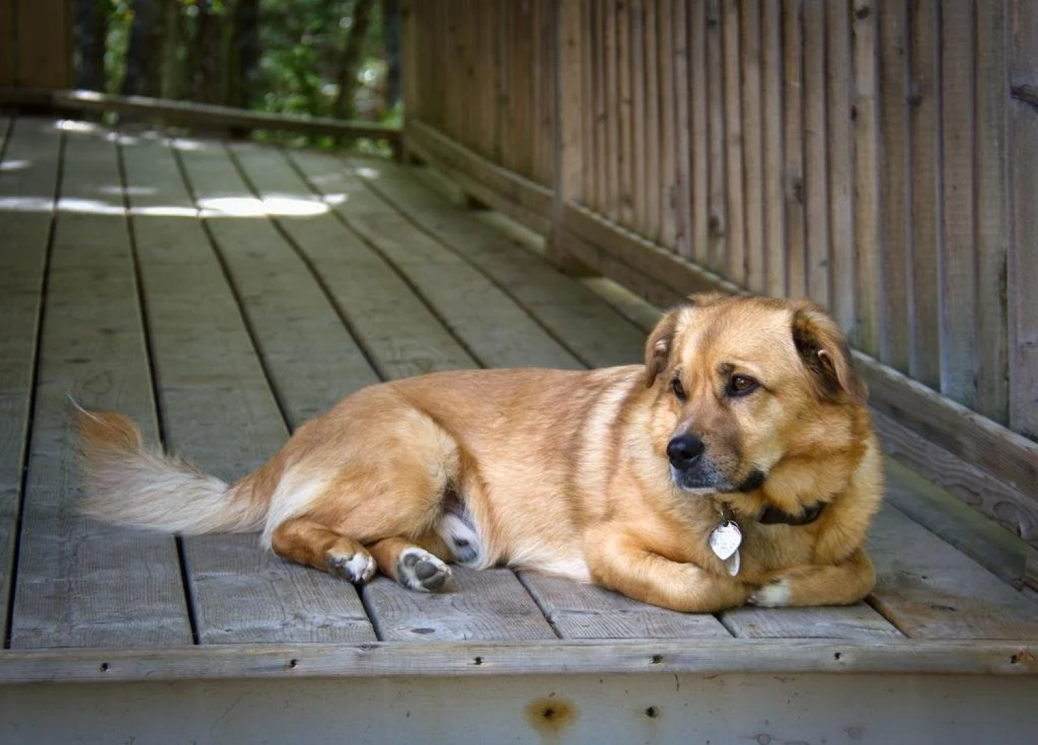 Roseway River Cottages