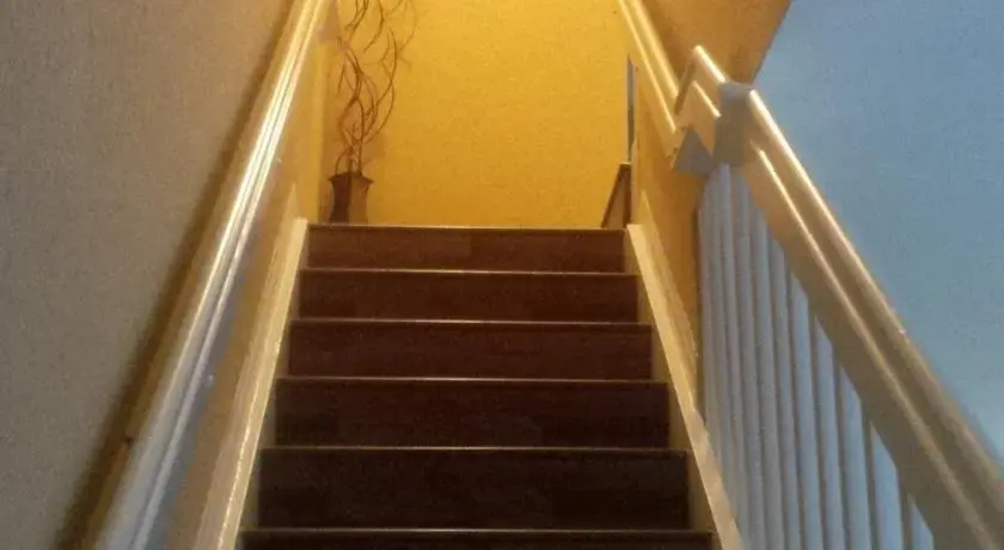 Doral Vacation 2 by Envisend