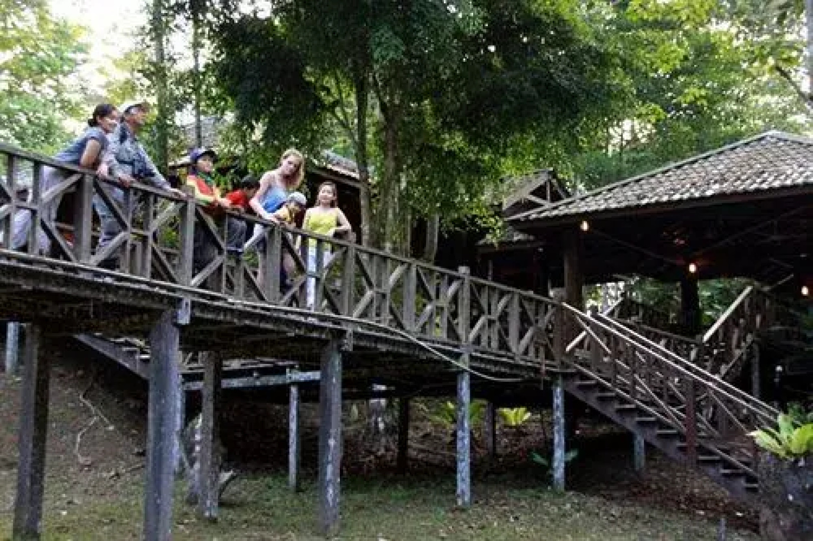 Tabin Wildlife Resort