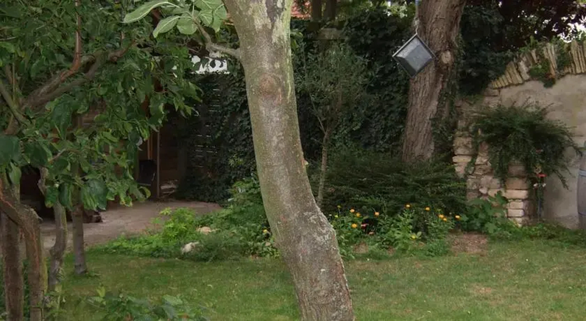 Ferienhaus Habitat Wonnegau