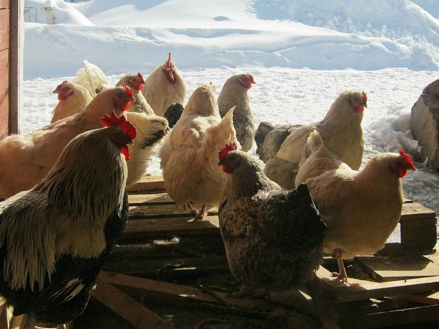 6 Person Holiday Home in Hamnvik