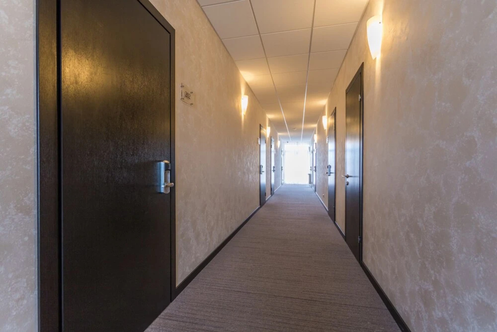 Отель Чайка