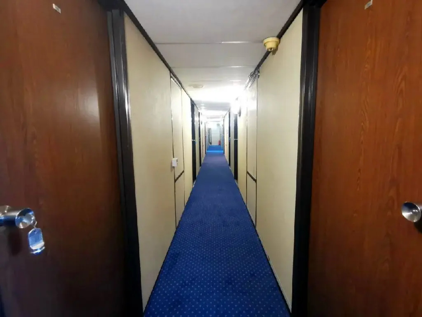 MS DIANA - Nava de croaziera pe Dunare