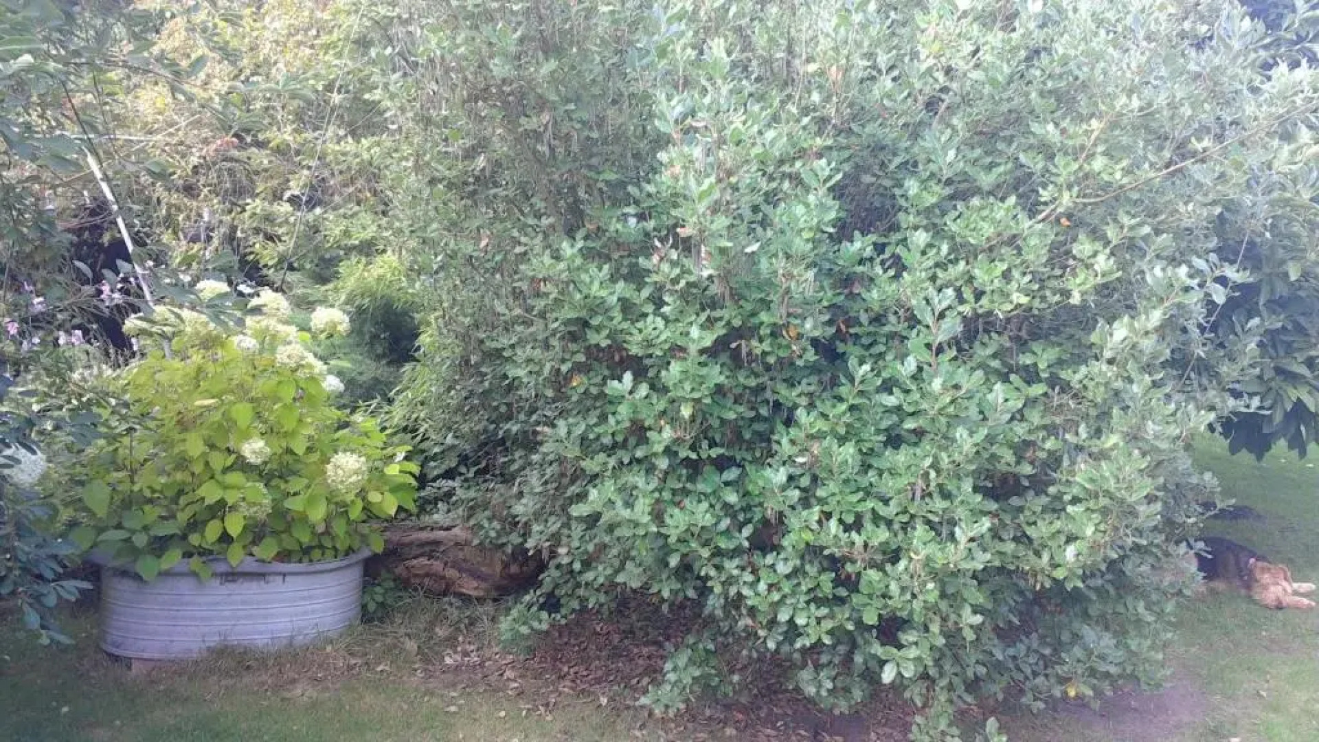 Whispering Cottages Bed and Breakfast