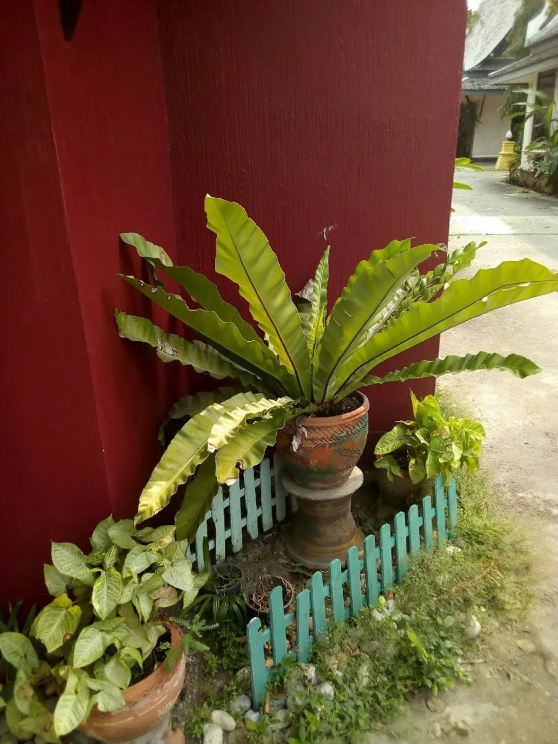 Sweet Inn Resort Hotel