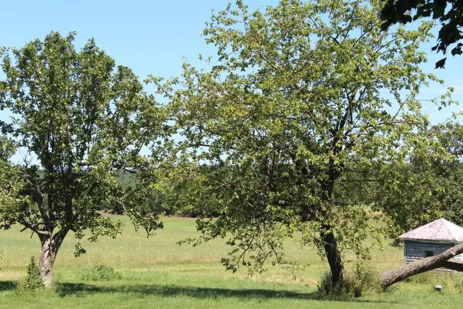Gîte Touristique Prés et Vallons