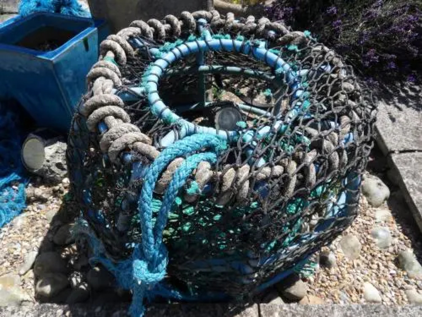 Romney Bay House Hotel