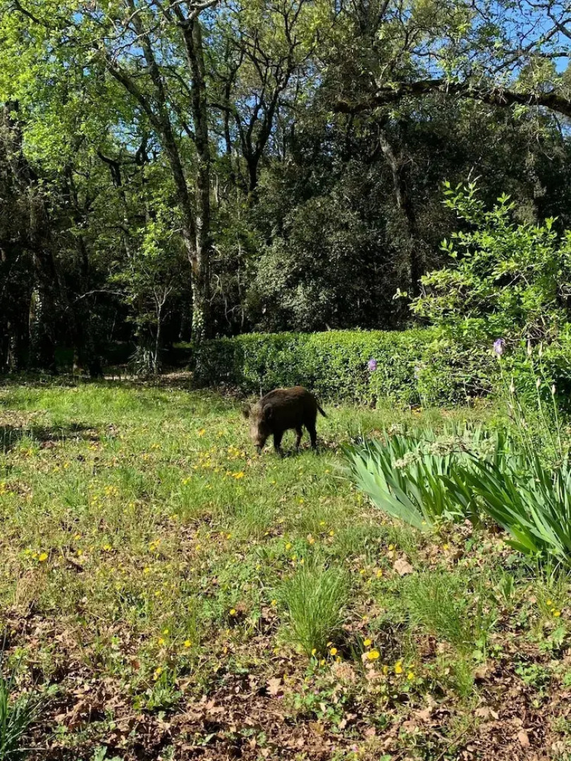 Ferme Saint-Georges en Provence