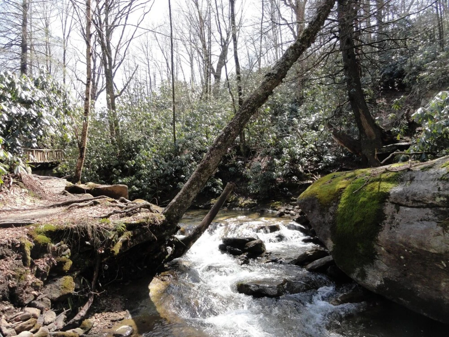 VCI - Southcrest Condominiums #i102