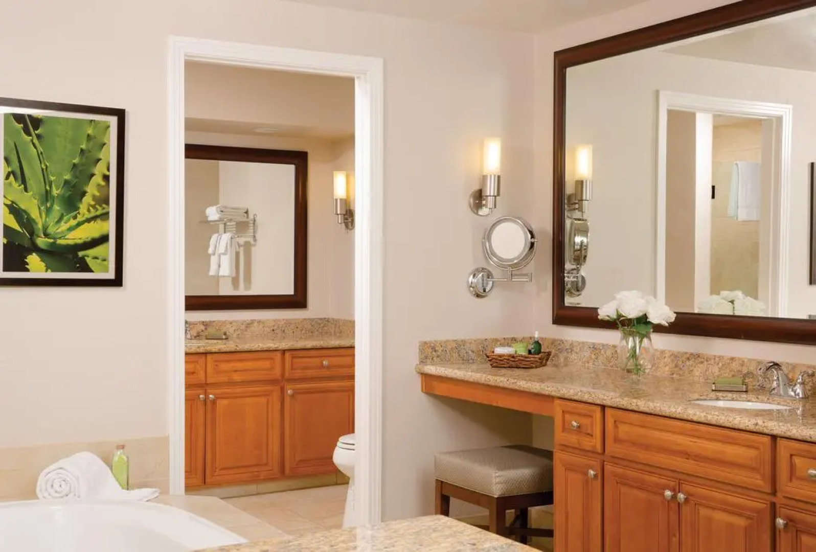 Marriott's Desert Springs Villas I