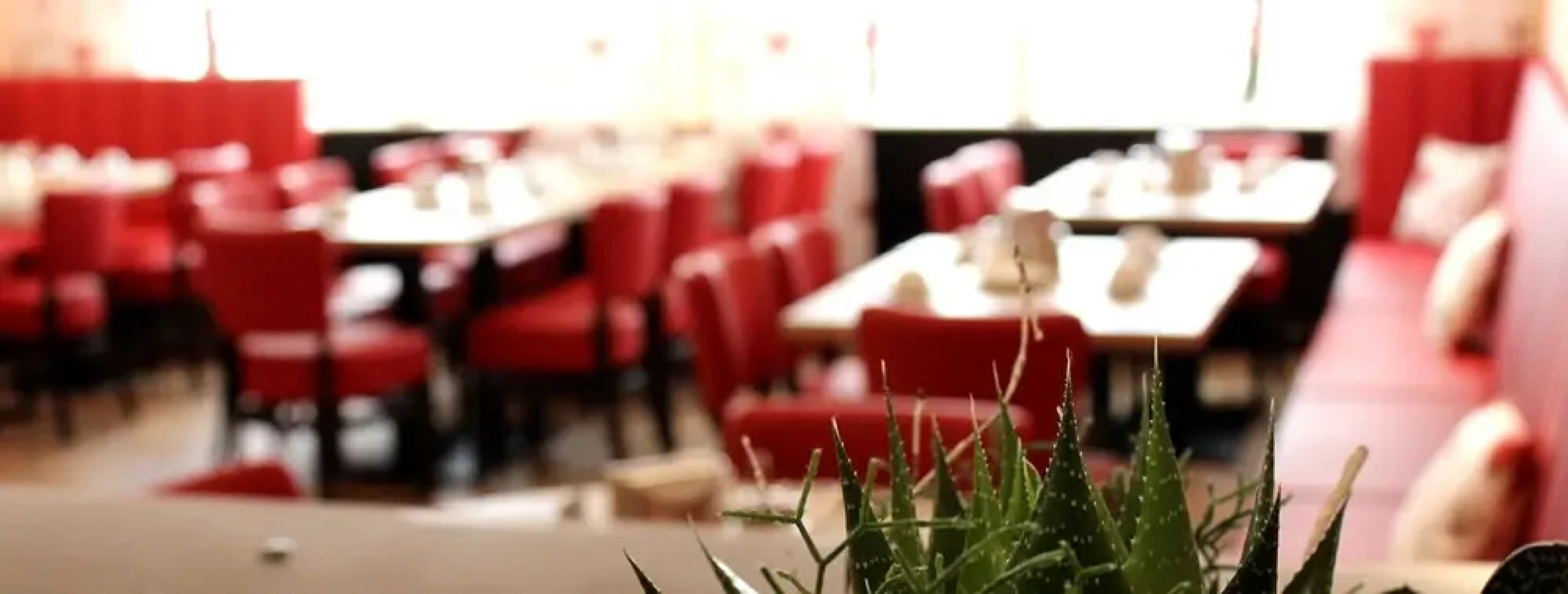 Hotel-Pension Altes Weinhaus