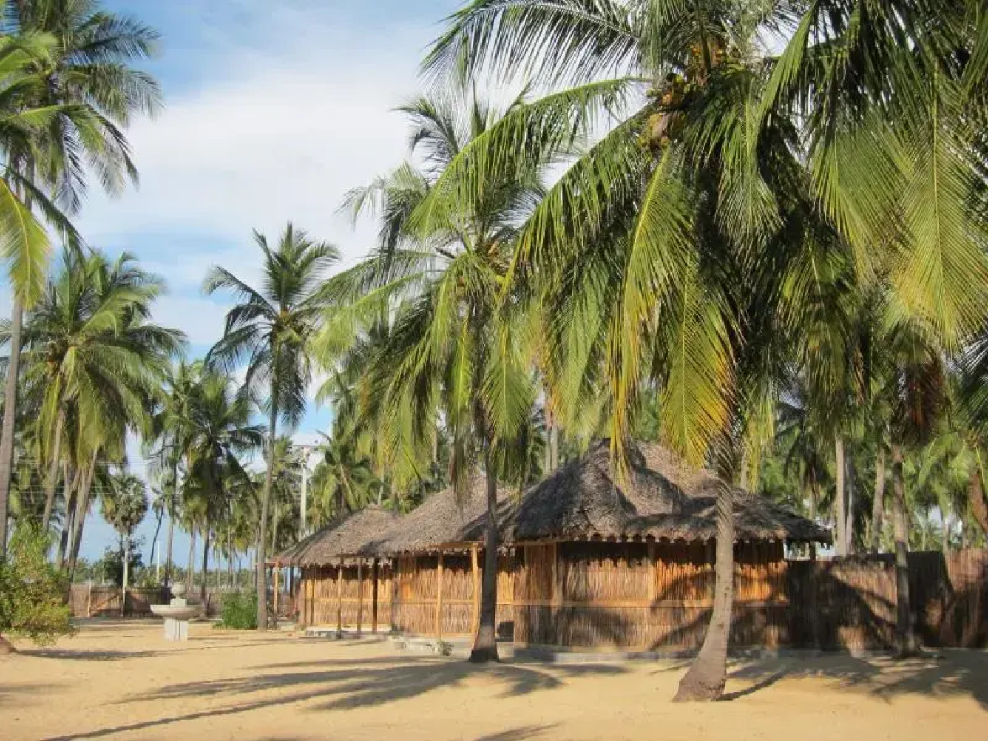 Funky Far Nest Tropical Resort