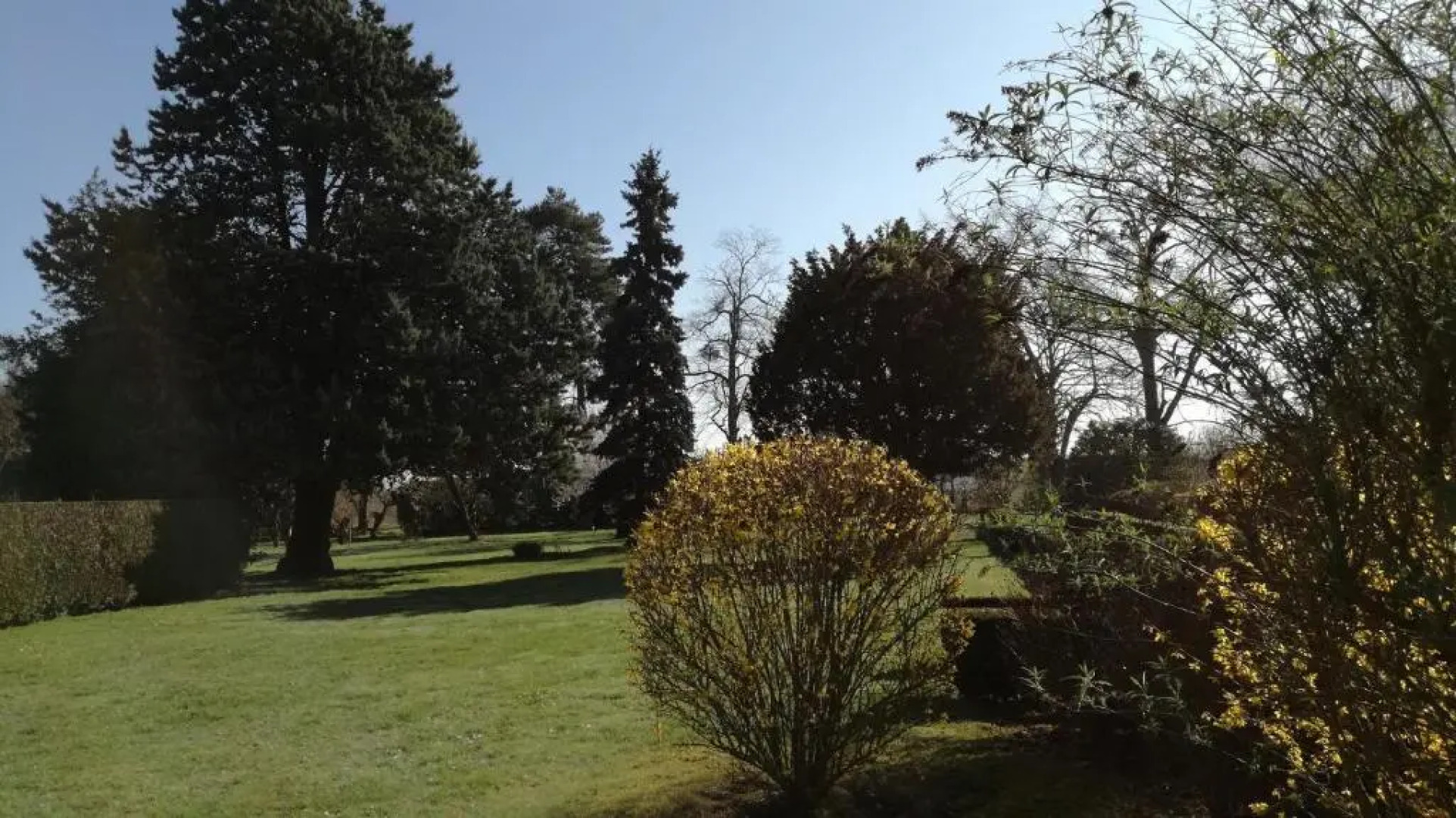 La Haute Traversière