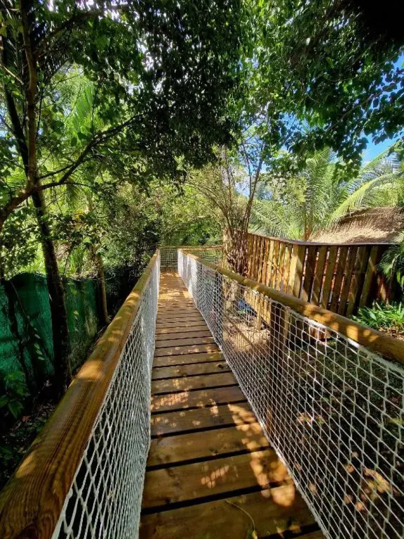 Pura Vida lodge
