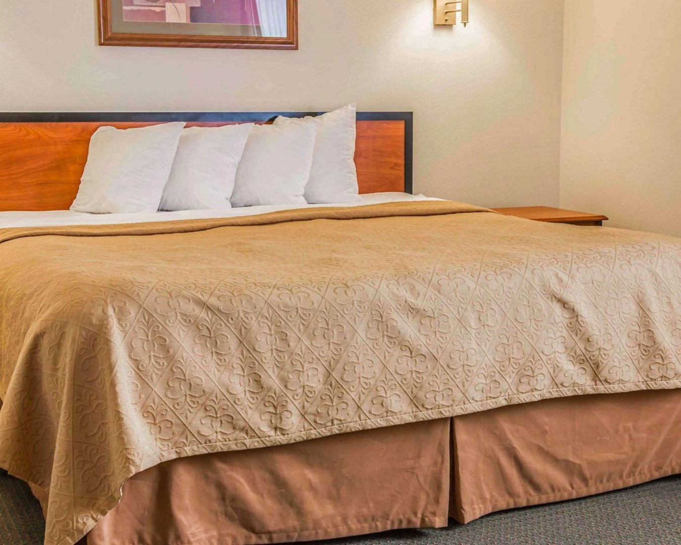 Quality Inn Durand I-69