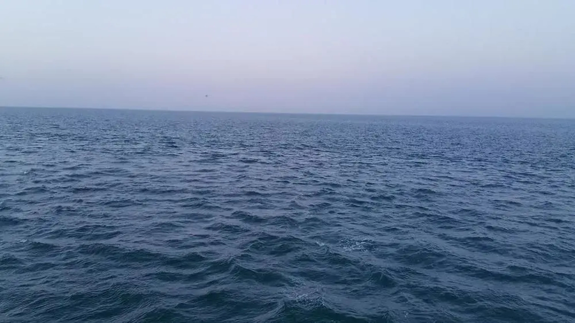 Grand Plaza Apartments 1