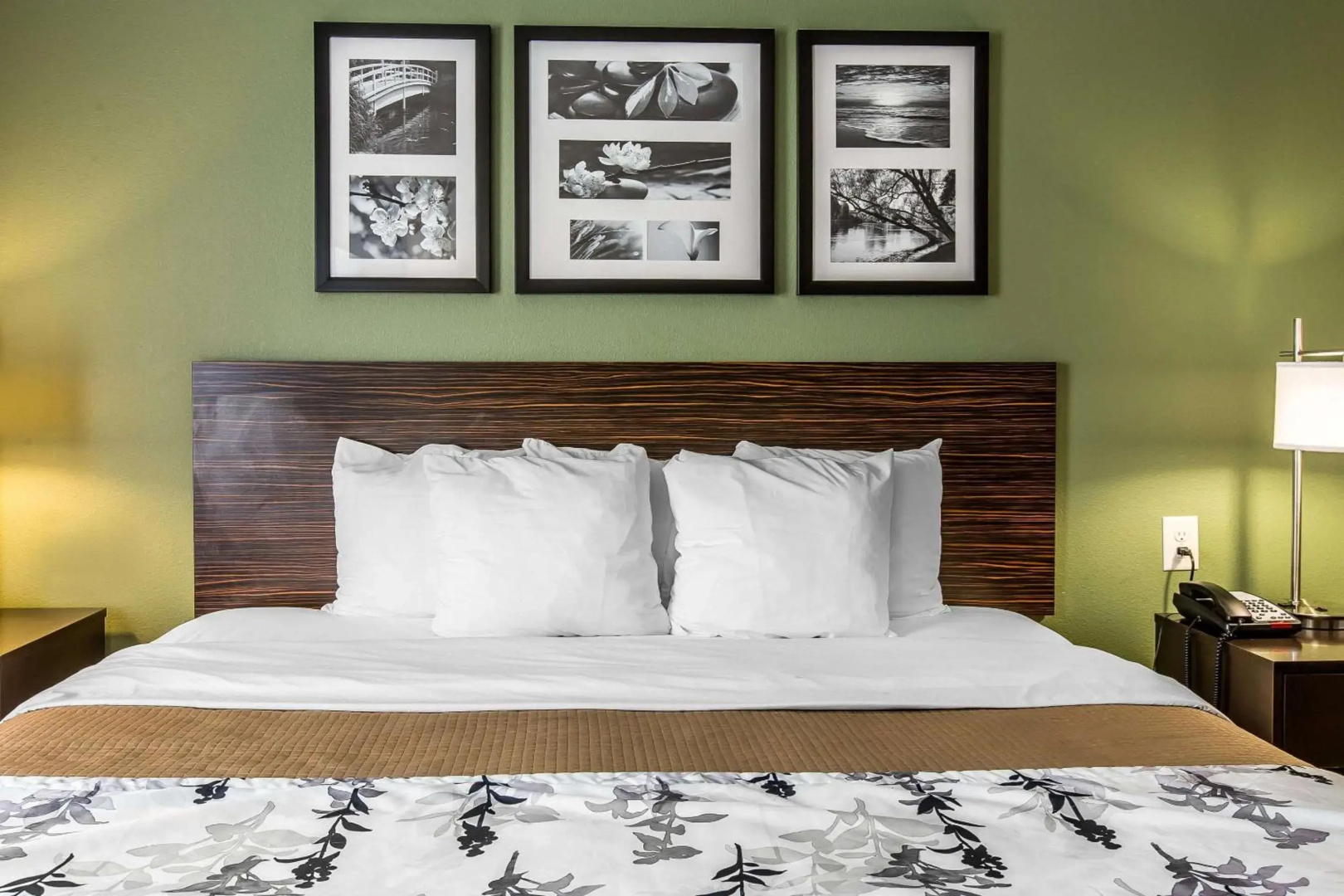 Sleep Inn & Suites Mount Olive North