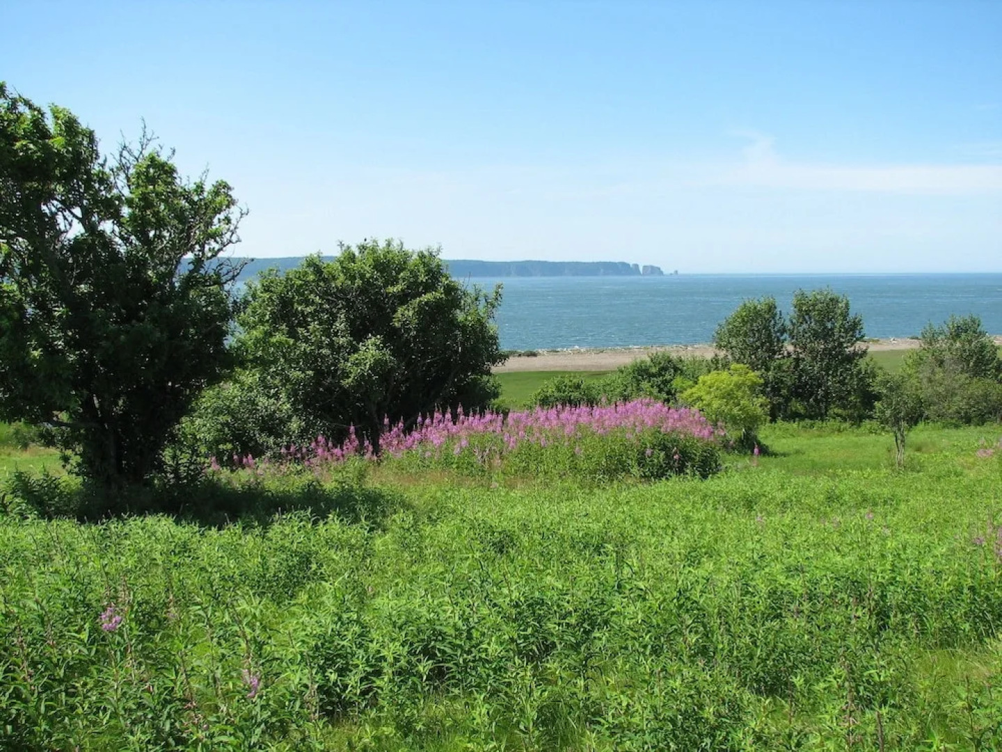 Cape Split View Cottages