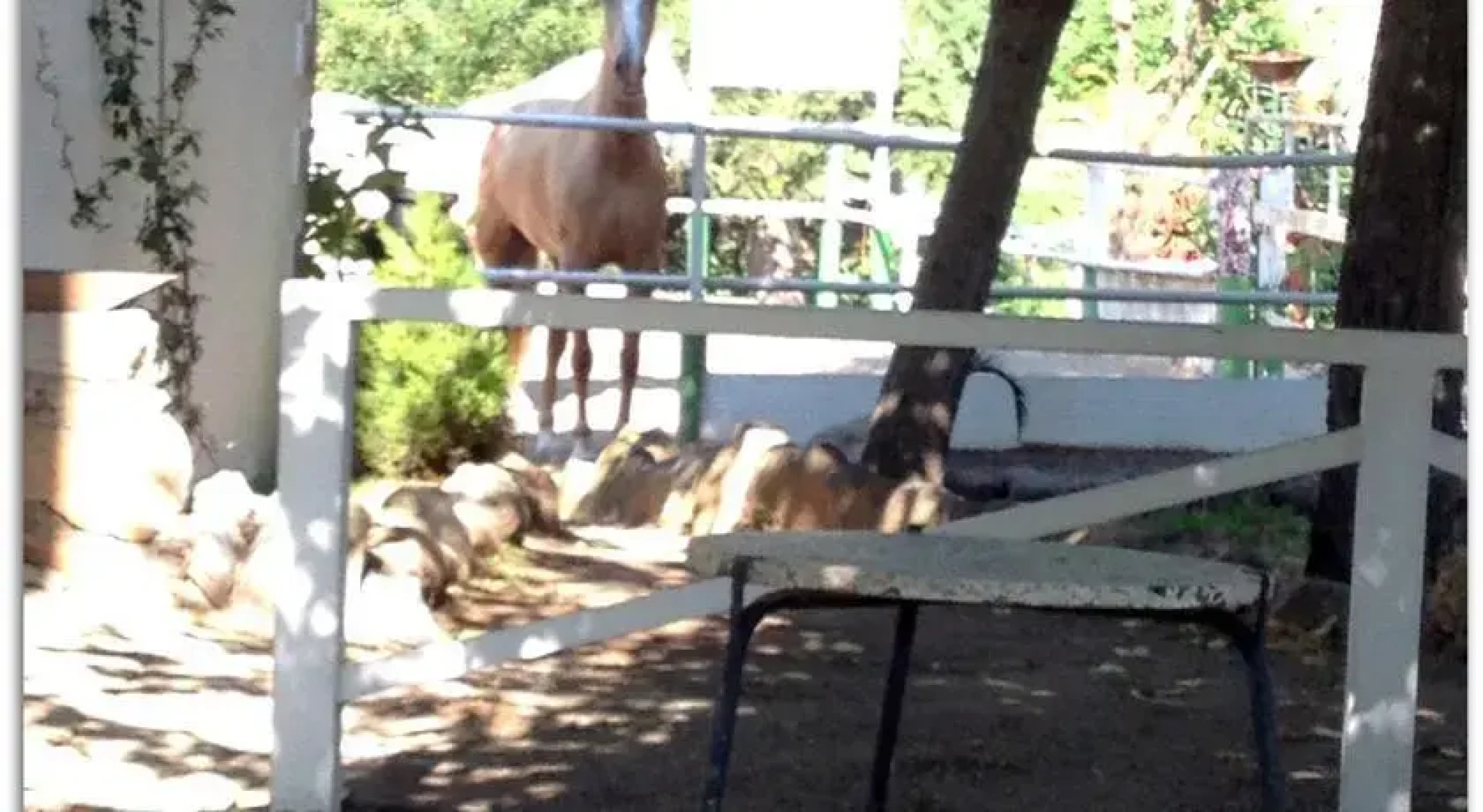 Hipica & Posada Can Patau