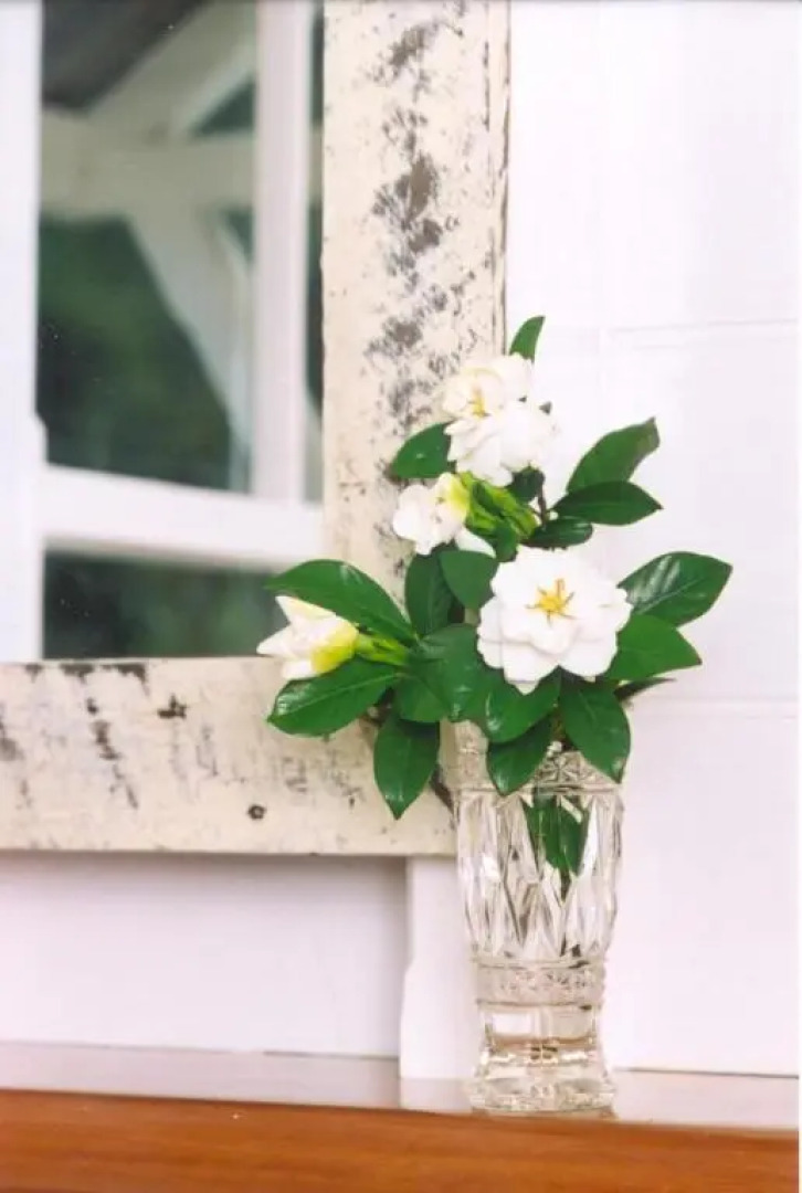 Whitsunday Cane Cutters Cottage