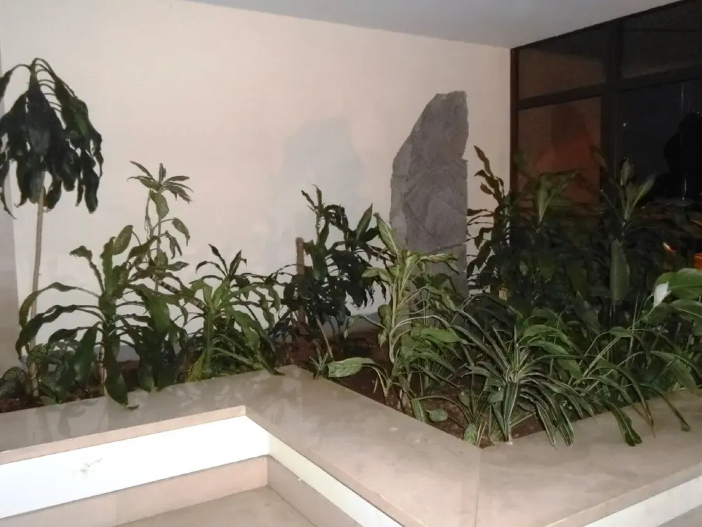 Funchal View Apartment