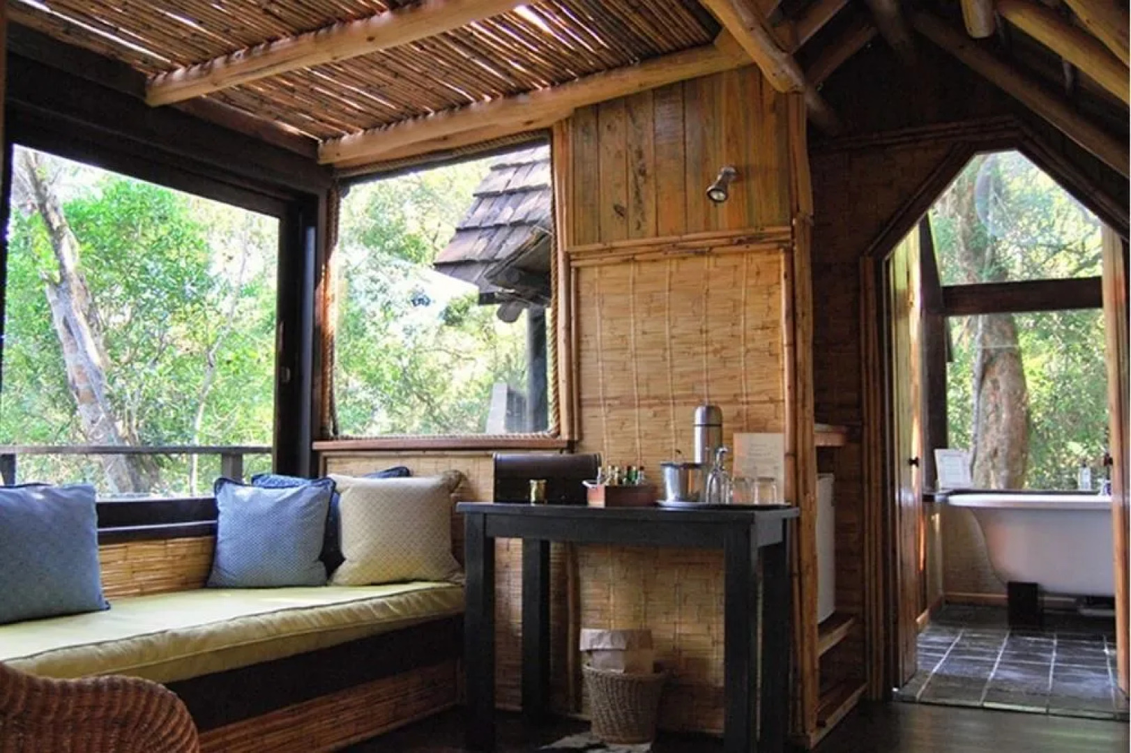 Phantom Forest Eco Reserve