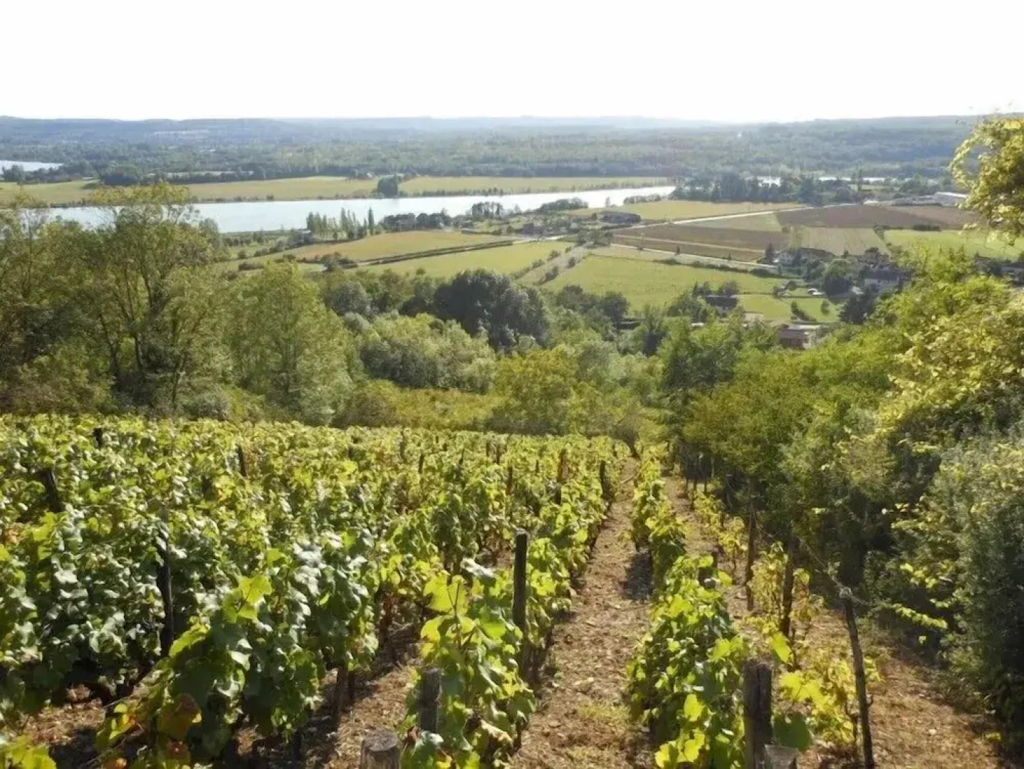 Cit’Hôtel La Résidence