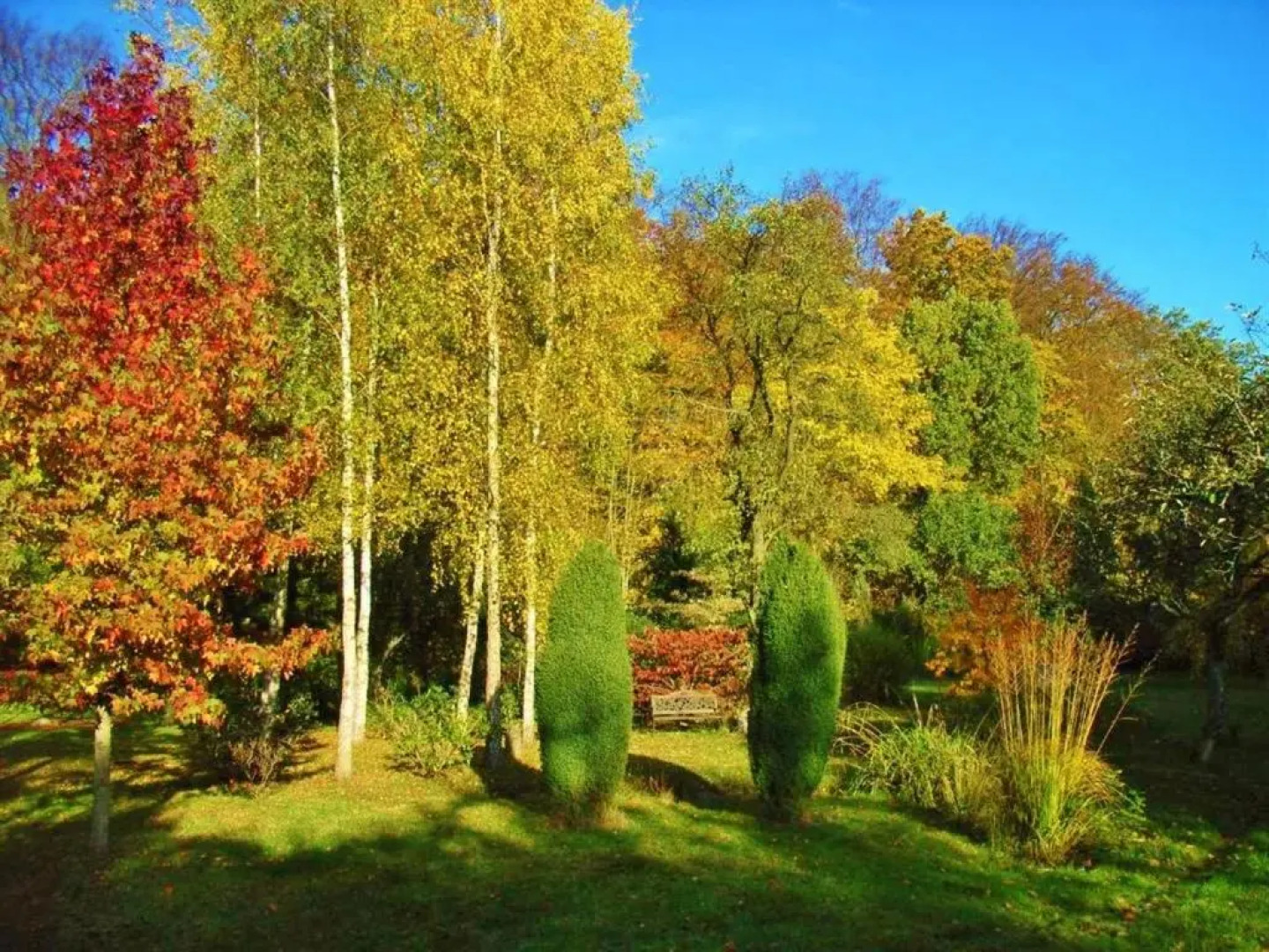 Ostsee-Pension An der Lindenallee