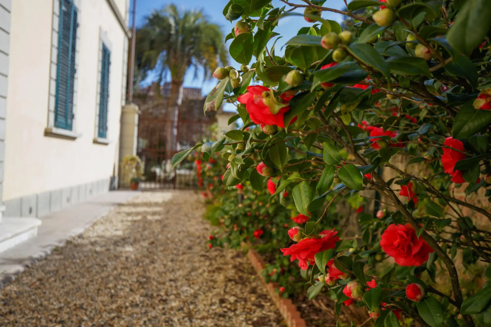 The Park View Apartment