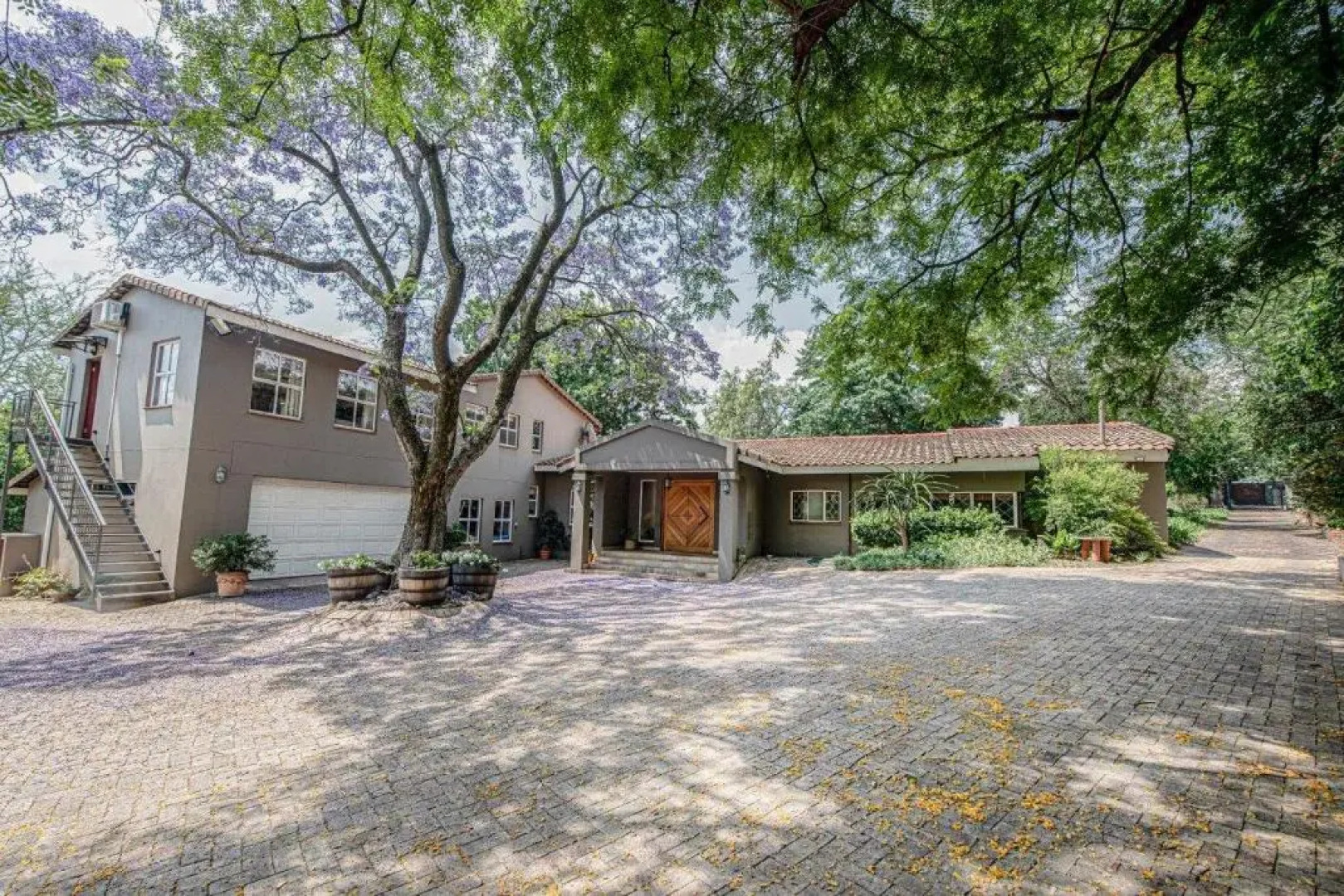 Wild Olive Executive Suite