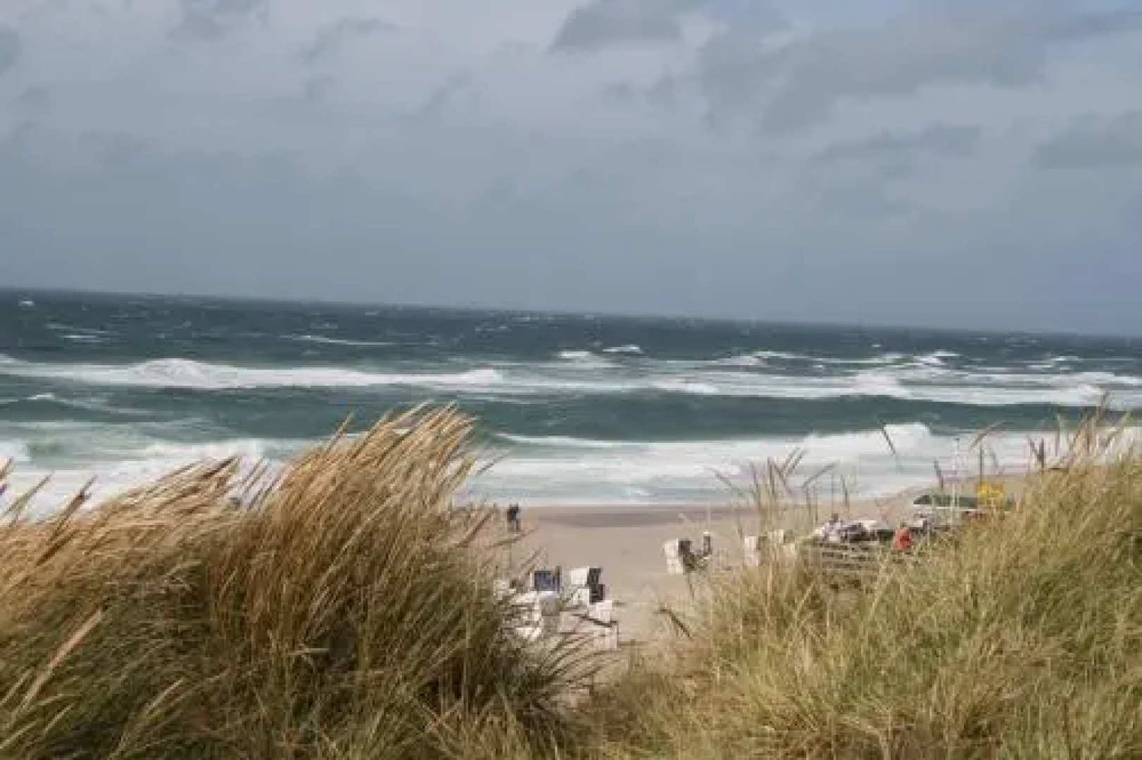 Reetdach Friesenhof Süderende