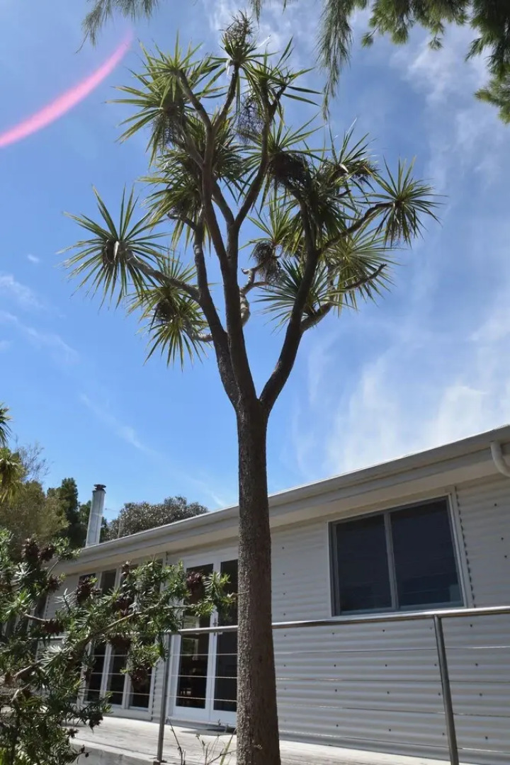 Freycinet Sanctuary at Oyster Bay