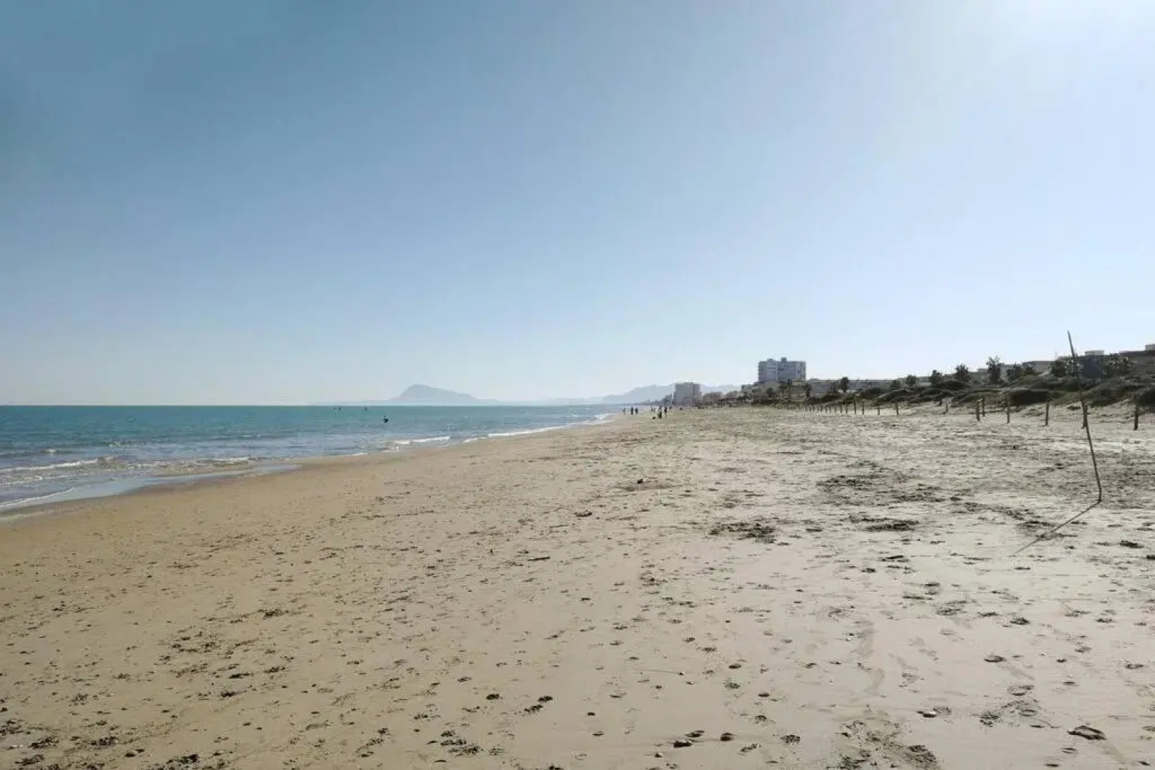 Romántico Daimús 2