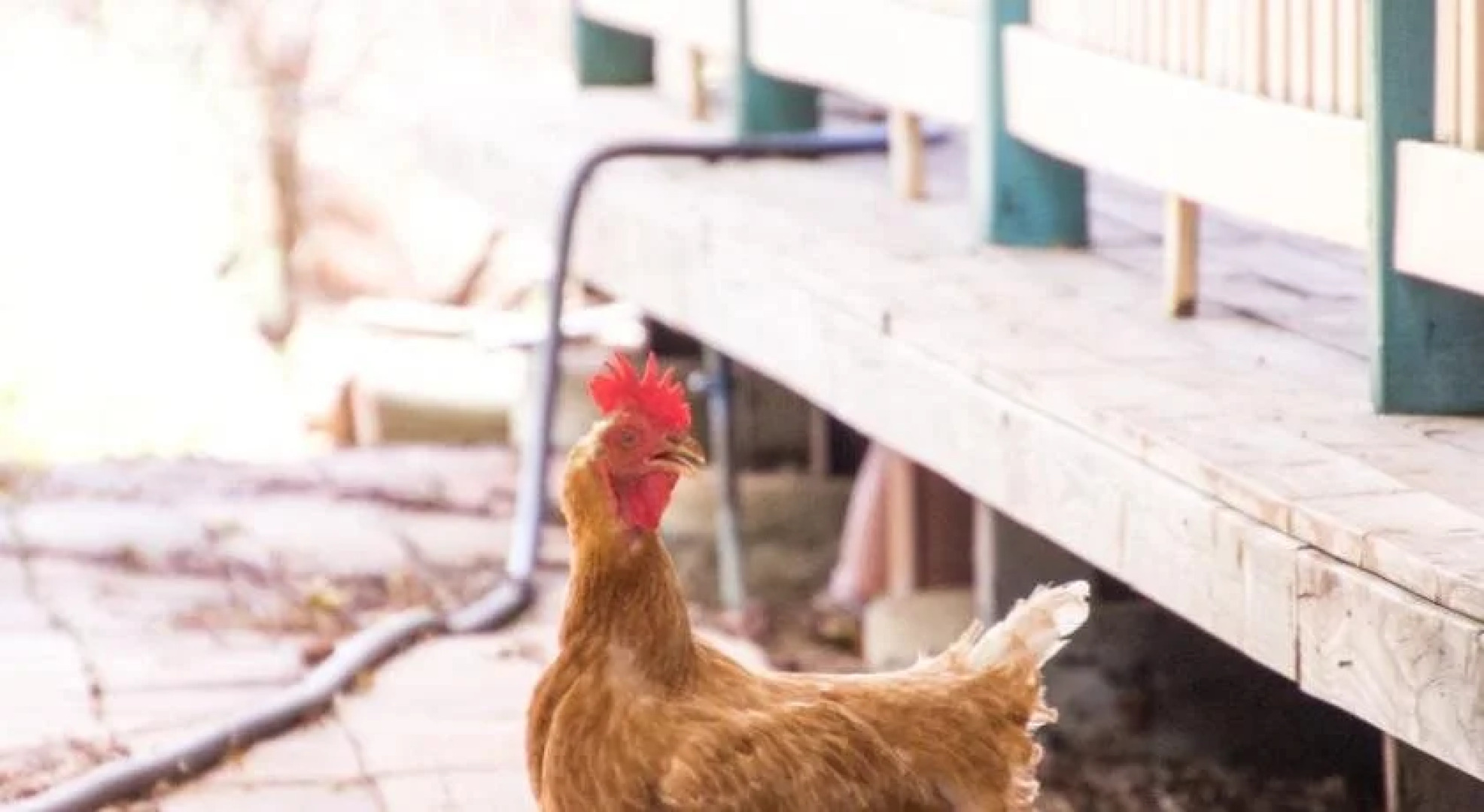 Longreach Outback Adventures