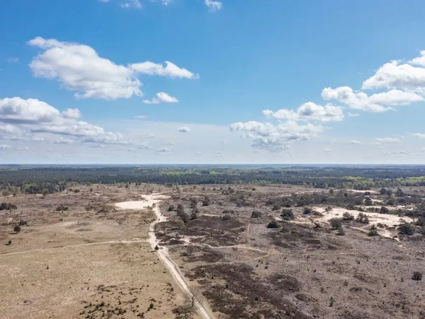 Holiday Home in Drents-friese Wold With Sauna